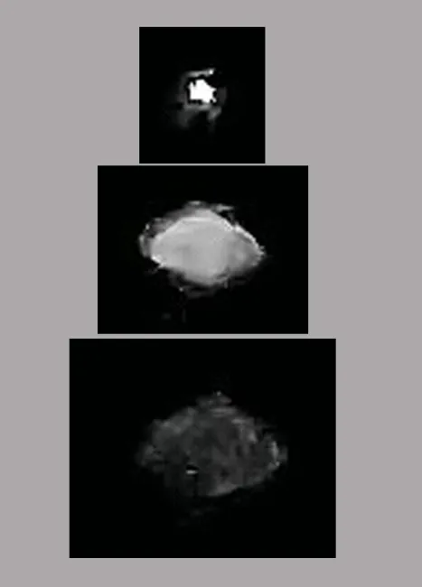 Orbs Phasing in Arizona April 2026